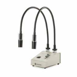 Euromex - Koudlichtbron voor stereomicroscopen